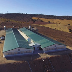 Avicultura granjas llaves en mano