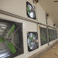 Ventiladores de bajo consumo avicultura