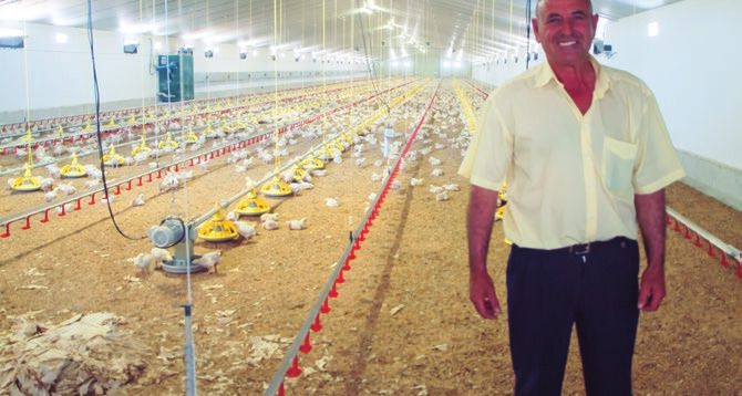 Avícola san juan alimentacion roxell bebida plasson clima fancom