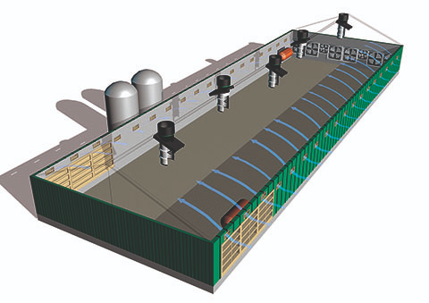 El mejor sistema de ventilación granjas avicultura mtt